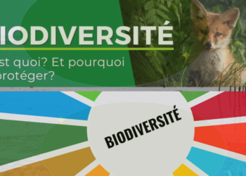 Abidjan accueille la douzième Conférence sur le changement climatique et le développement en Afrique!