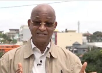 Candidature du Général Mamadi Doumbouya : Cellou Dalein DIALLO invite les guinéens à barrer la route au CNRD