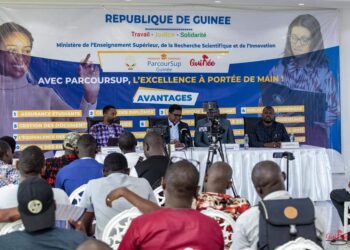 MESRSI : Début des inscriptions des bacheliers le 20 septembre via ParcourSup Guinée  