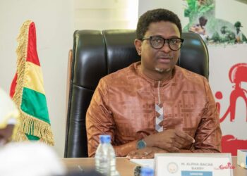 Interdiction de la vente des brochures dans les universitaires guinéennes  : le Ministère met en place une nouvelle plateforme en place pour l’obtention des documents académique