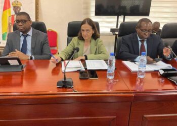 Conakry : l’équipe  du FMI a présenté les résultats préliminaires du cadrage macroéconomique pour la Guinée