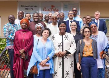 Emplois décents en Guinée : la Ministre Aminata KABA reçu en audience les partenaires du Programme d’Appui à l’Insertion et à l’Emploi….