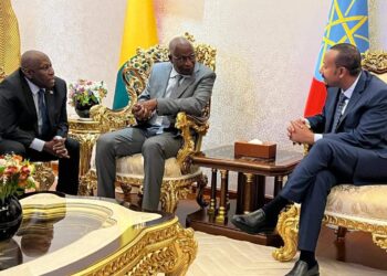 Addis-Abeba : le premier ministre Abiy Ahmed a exprimé sa volonté d’accompagner la transition guinéenne