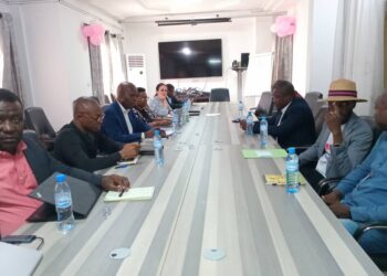 Mission de l’ONU en Guinée: les organisations de presse et le SPPG ont été reçus par les émissaires