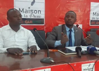 Politique : le président du MDN partage sa vision du développement national de la Guinée