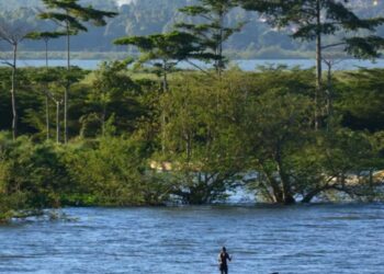 Tanzanie: la montée des eaux des lacs une menace pour les habitants de l&rsquo;île Ukerewe