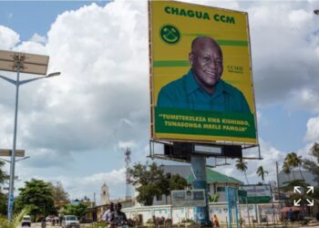 Tanzanie: le parti au pouvoir remporte avec plus de  98% des sièges lors des élections locales