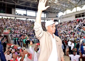 Coordination de l’UFDG de l’Amérique du Nord : « Mobilisons-nous pour faire respecter la date butoir du 31 décembre 2024, qui fixe la fin de la transition en Guinée »(Déclaration)