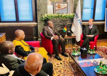 Coopération Internationale : une rencontre stratégique entre la Guinée et le Fonds de l’OPEP à Vienne