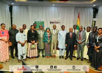 Victimes de grippe aviaire en 2022 en Guinée : l&rsquo;Etat guinéen octroie 34 000 700 000 GNF pour la relance de la filière avicole