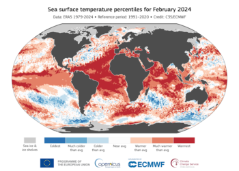 Changement climatique : 2024 est l’année la plus chaude jamais enregistrée depuis 1850