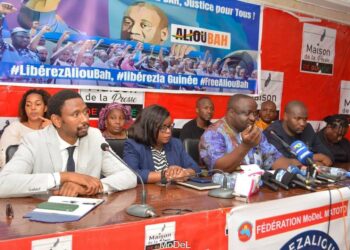 Condamnation d&rsquo;Aliou BAH :  Le Collectif des avocats  a saisi la Cour de Justice de la CEDEAO