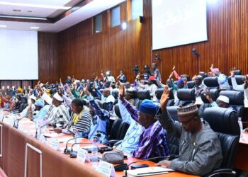 Le Conseil National de la Transition a adopté des accords majeurs pour le développement des infrastructures énergétiques et hydroliques en Guinée 