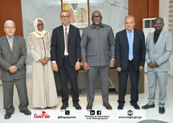 Renforcement du secteur agro-pastoral : le Ministre de l’Agriculture  a échangé avec la délégation de la Banque Arabe pour le Développement Économique en Afrique