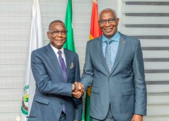 Guinée: La BAD réitère son soutien à l&rsquo;économie nationale et félicite la croissance du PIB qui est 5,8%