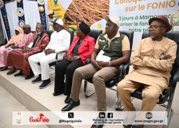 Mamou: Fin du Colloque National sur le Fonio avec une note de satisfaction