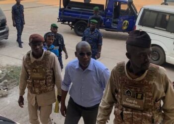 Cour d’Appel: Aliou BAH condamné à 2ans de prison ferme pour offense au Chef de l’État