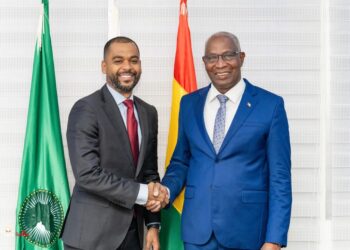 Economie : La performance de la Guinée en matière d’absorption des financements, jugée satisfaisante par la Banque Mondiale 