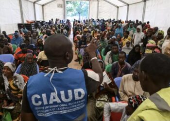 Près de 29 millions de Sahéliens ont besoin d’une aide humanitaire urgente au financement incertain