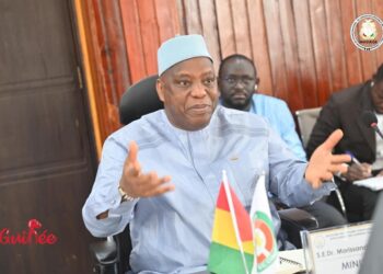 Recensement biométrique de la diaspora: Une bonne nouvelle pour les guinéens établis à l&rsquo;étranger