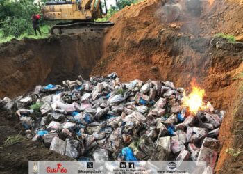 Des produits impropres à la consommation: Le Ministère du Commerce a procédé à la destruction de 2 733 cartons de cuisses de poulet saisis au Port Autonome de Conakry