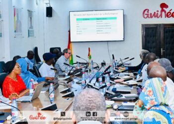 Guinée: Vers la mise en œuvre du Projet de Développement Agricole et Commercial de Guinée (PDACG)