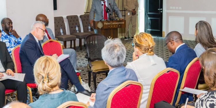 Guinée: Amadou Oury Bah a échangé avec les partenaires techniques et financiers sur les réformes en cours et les priorités du Gouvernement