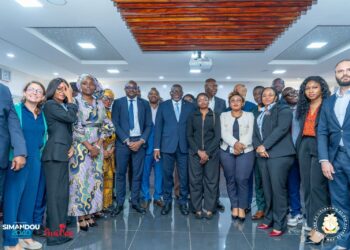 Economie: 23 investisseurs Britannique ont été reçus en audience par le Ministre Mourana Soumah