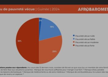 Enquête Afrobarometer 2025: Malgré les réformes enclenchées la majorité des Guinéens vivent  une pauvreté modérée ou forte