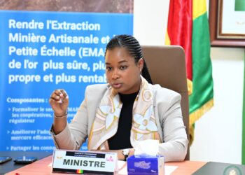 Protection de la biodiversité forestière: Le Ministère de l&rsquo;Environnement annonce l&rsquo;arrêt des activités de coupe et de transport de bois à partir du 07 juillet au 30 septembre 2025