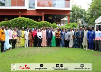 La 5ème session du Comité de Pilotage du Projet d’Établissement des Fondamentaux de la Filière Avicole en Guinée s’est tenue ici à Conakry