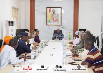 Guinée: Vers la mise en œuvre de la phase 2 du projet Agriculture Familiale, Résilience et Marchés en Haute et Moyenne Guinée