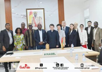 Renforcement de la coopération Guinée-Russie: L’inauguration de la Maison Russe en Guinée, prévue ce vendredi