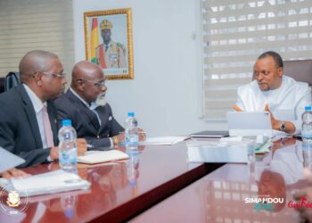 Accélération de l&rsquo;électrification rurale: Le Ministre de l&rsquo;Energie a reçu en audience le représentant résident du PNUD 