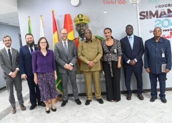 Coopération Guinée-États-Unis: Sous Secrétaire d’Etat adjoint pour l’Afrique de l’Ouest a été reçu en audience par le ministre des Affaires étrangères