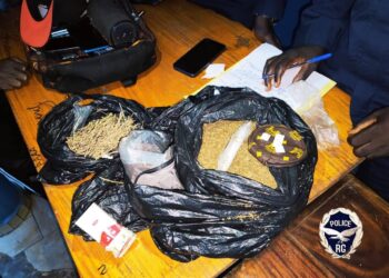 Dubréka: 11 personnes interpellées, de saisies importantes de chanvre indien et des comprimés de tramadol à Dondoli Khouré