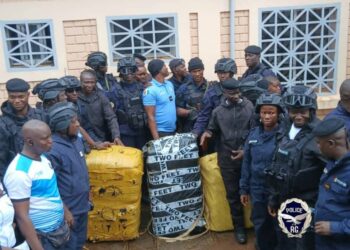 Opération épervier à Moussayah: Le CIPAF met la main sur 186 kilogrammes de chanvre indien 