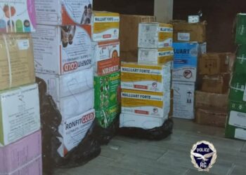 Opération épervier à Pamalap: La CIPAF a saisi une quantité record de médicaments illicites 