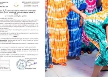 Siguiri: Les autorités locales interdisent la « Soirée Dior » dans tous les lieux de loisirs 