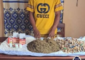 Lutte contre la drogue à Mandiana: La Police a saisi 614 boules de chanvre indien, 380 comprimés de tramadol