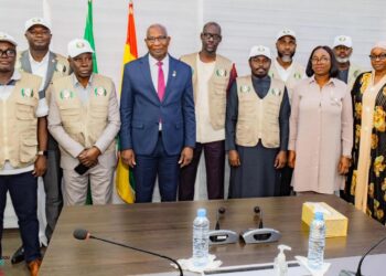 Retour à l’ordre constitutionnel: La mission d&rsquo;observation électorale de la CEDEAO a été reçue à la Primature 