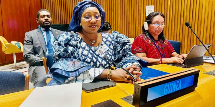 New York: La Guinée à la tête du Groupe africain lors de la réunion Beijing30