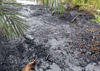 Coup de filet réussi par le Ministère de l&rsquo;Environnement et du Développement Durable: Plusieurs camions citernes contenant des huiles usées viennent d&rsquo;être saisis par la Direction Nationale en charge de la lutte contre la Pollution, Nuisance et Changement Climatique sur un site à Sonfonia