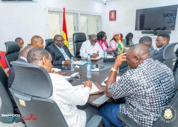 Economie: vers un partenariat stratégique entre la Guinée et l&rsquo;I&rsquo; Africa Finance Corporation