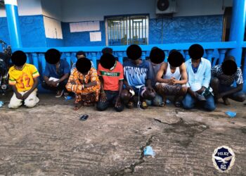 Lutte contre la drogue: 15 personnes interpellées dans les communes de Gbessia et Ratoma 