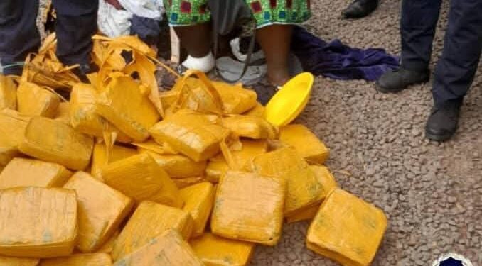 Guinée: Saisie de 62 kg de chanvre indien à Kambmsar 