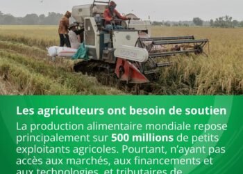 Agriculture et agro-industrie : le Groupe de la Banque mondiale s&rsquo;engage à doubler ses investissements annuels pour les porter à 9 milliards de dollars