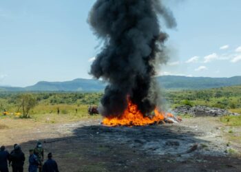 Guinée: incinération d&rsquo;une quantité importante de drogues et substances psychotropes saisies sur l’ensemble du territoire national