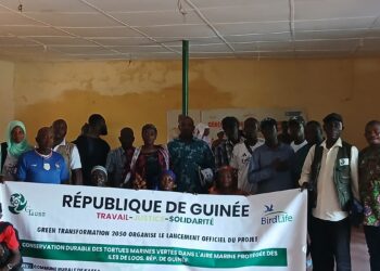 Guinée: Green Transformation 2050 lance un projet de conservation durable des tortues marines vertes dans les Îles de Loos