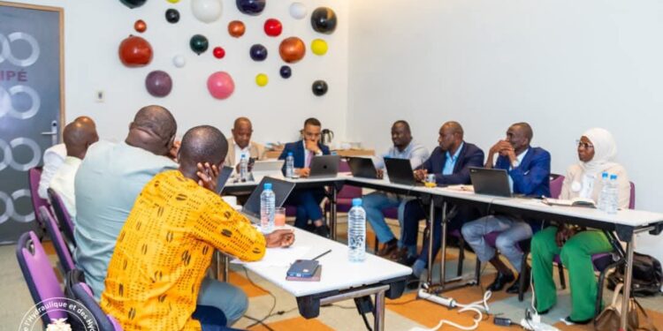 Atelier sur la réglementation du Gaz de Pétrole Liquéfié: la Guinée pose les bases d’un secteur mieux encadré et plus compétitif